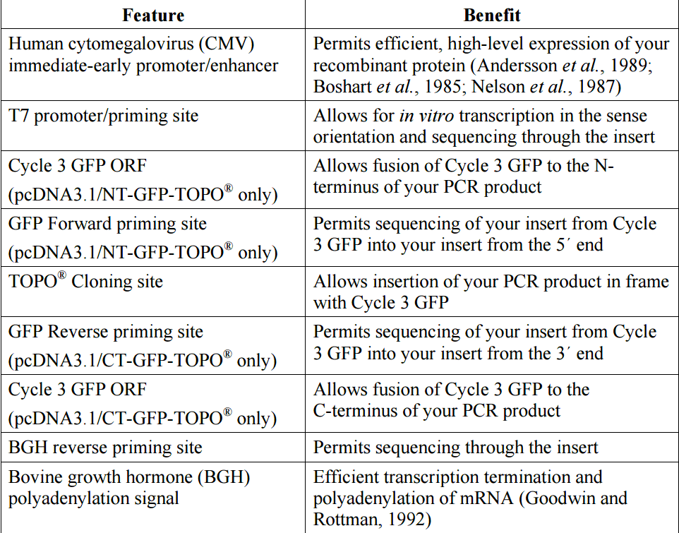pcDNA3.1-NT-GFP-TOPO 载体特征1
